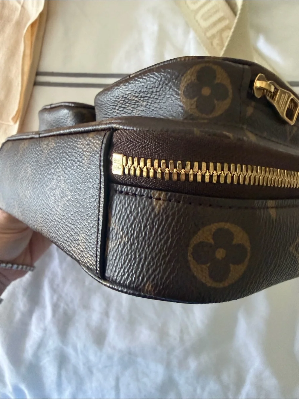 Louis Vuitton Monogram utility bag
